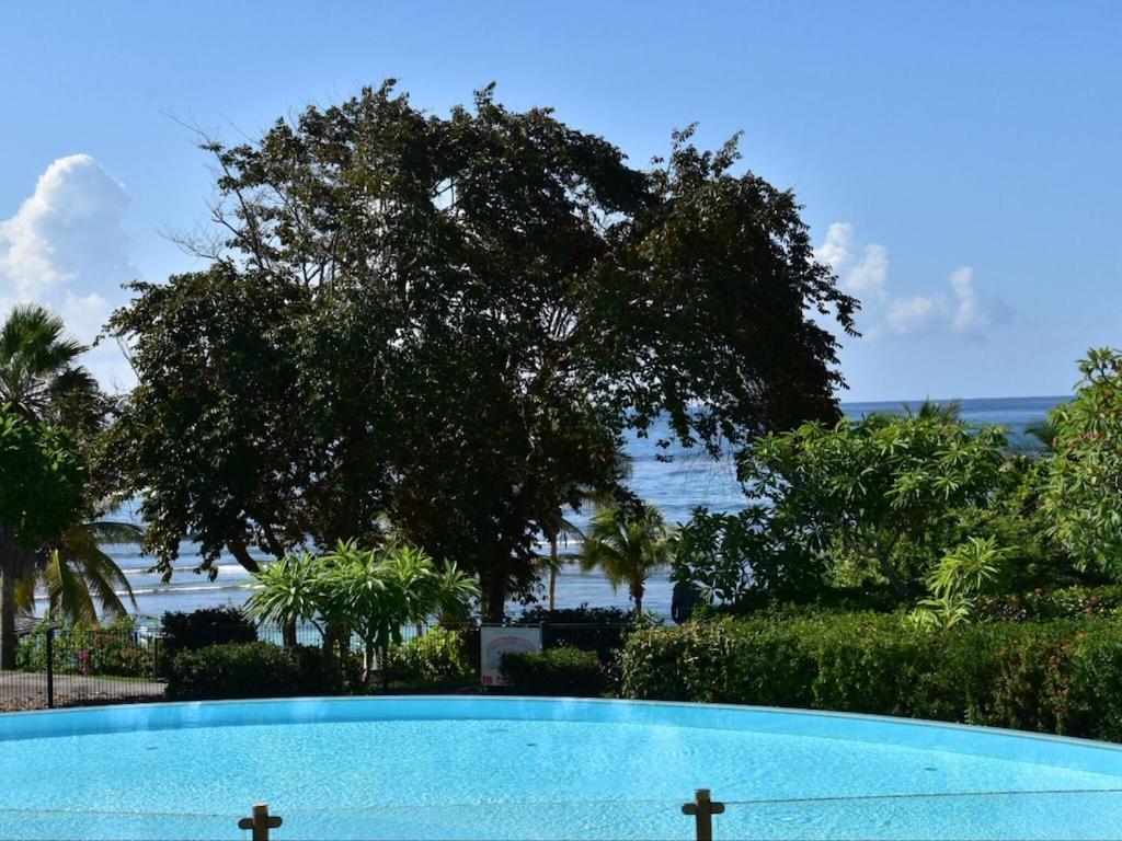 Studio Village Vacances,Vue Mer, Plage A 30M ,Wifi A Sainte Anne Sainte-Anne (Grande-Terre) Exterior foto