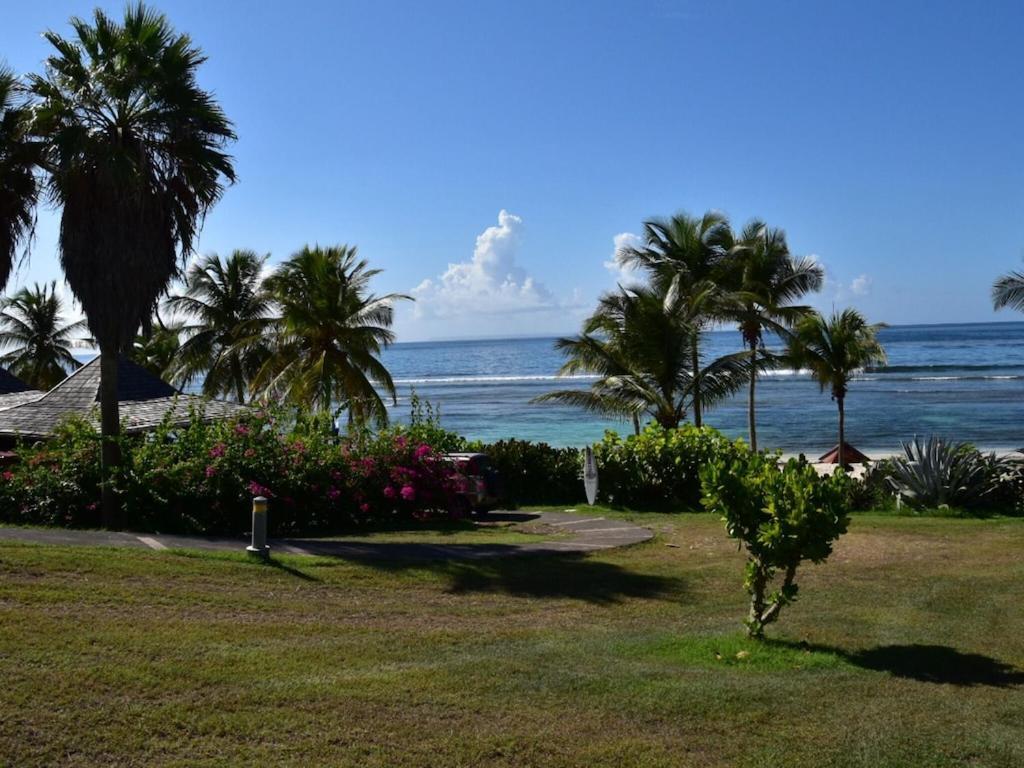 Studio Village Vacances,Vue Mer, Plage A 30M ,Wifi A Sainte Anne Sainte-Anne (Grande-Terre) Exterior foto