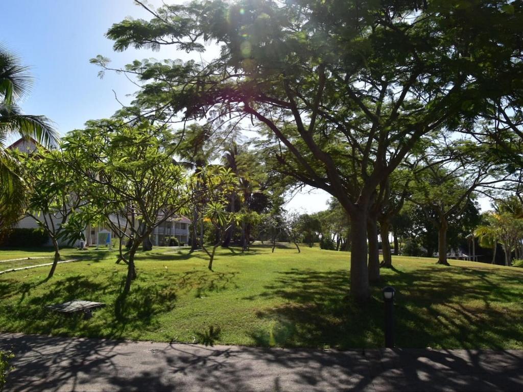 Studio Village Vacances,Vue Mer, Plage A 30M ,Wifi A Sainte Anne Sainte-Anne (Grande-Terre) Exterior foto