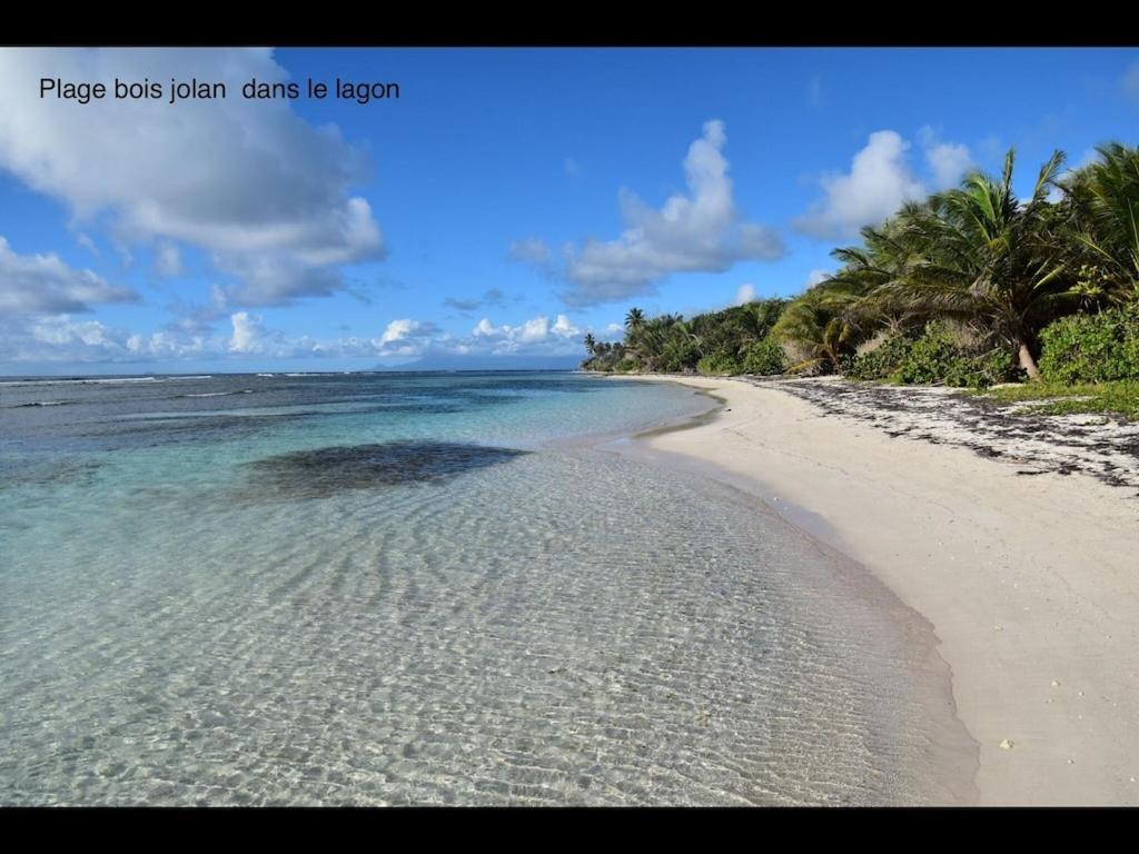 Studio Village Vacances,Vue Mer, Plage A 30M ,Wifi A Sainte Anne Sainte-Anne (Grande-Terre) Exterior foto