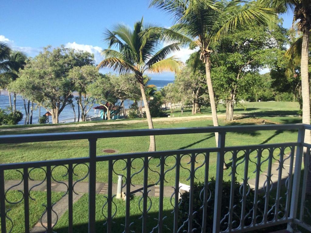 Studio Village Vacances,Vue Mer, Plage A 30M ,Wifi A Sainte Anne Sainte-Anne (Grande-Terre) Exterior foto
